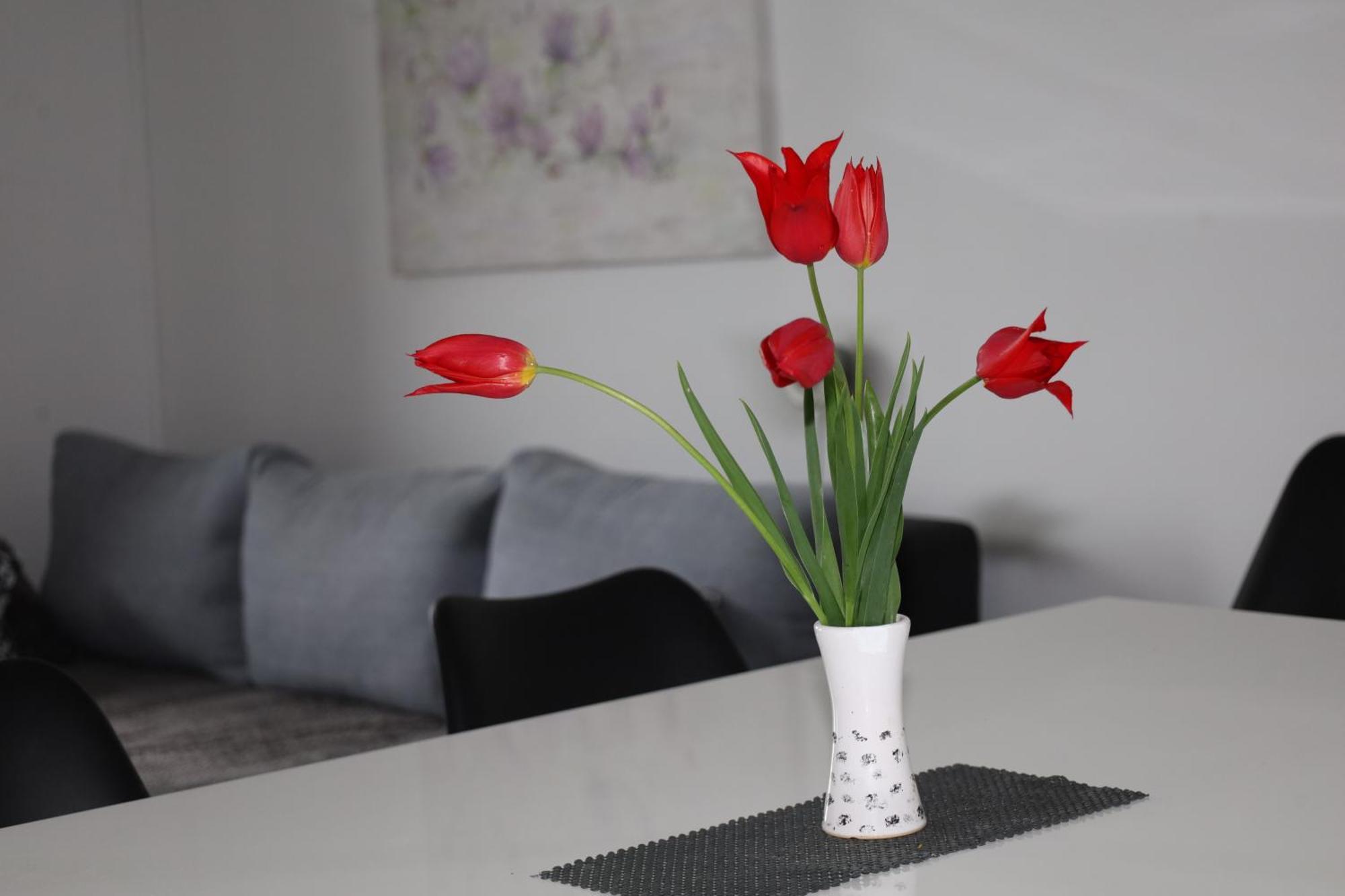 Apartma Javorscek Bovec Exteriér fotografie